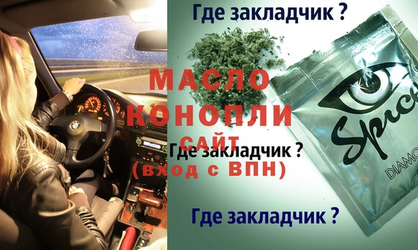 сатива Абаза