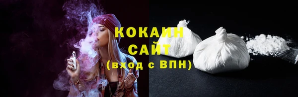 сатива Абинск