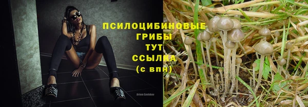 гашик Абдулино
