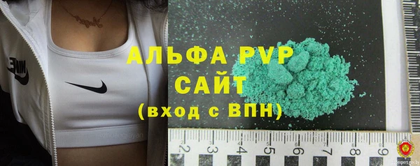 сатива Абинск