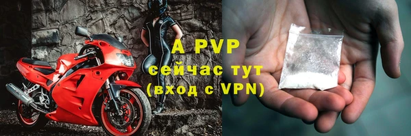сатива Абаза